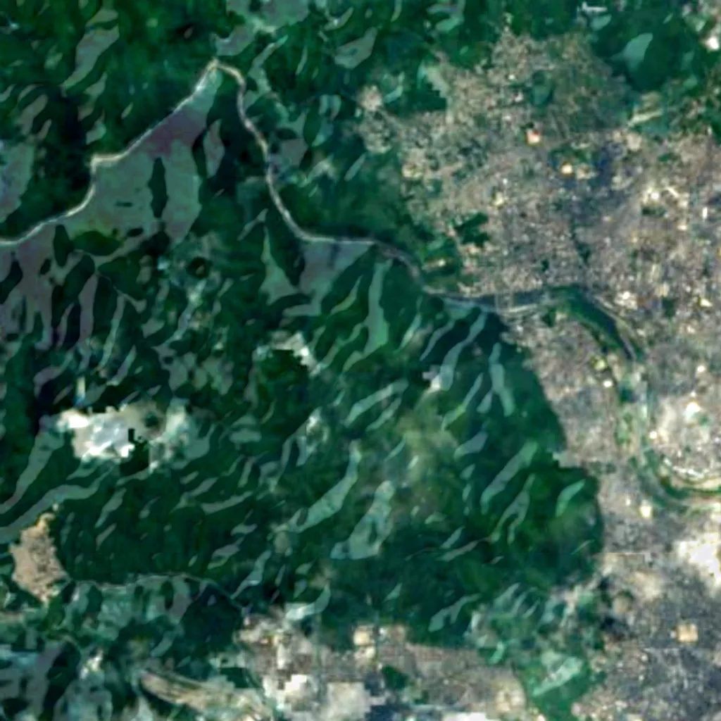 Arashiyama seen from above (Sentinel-2)