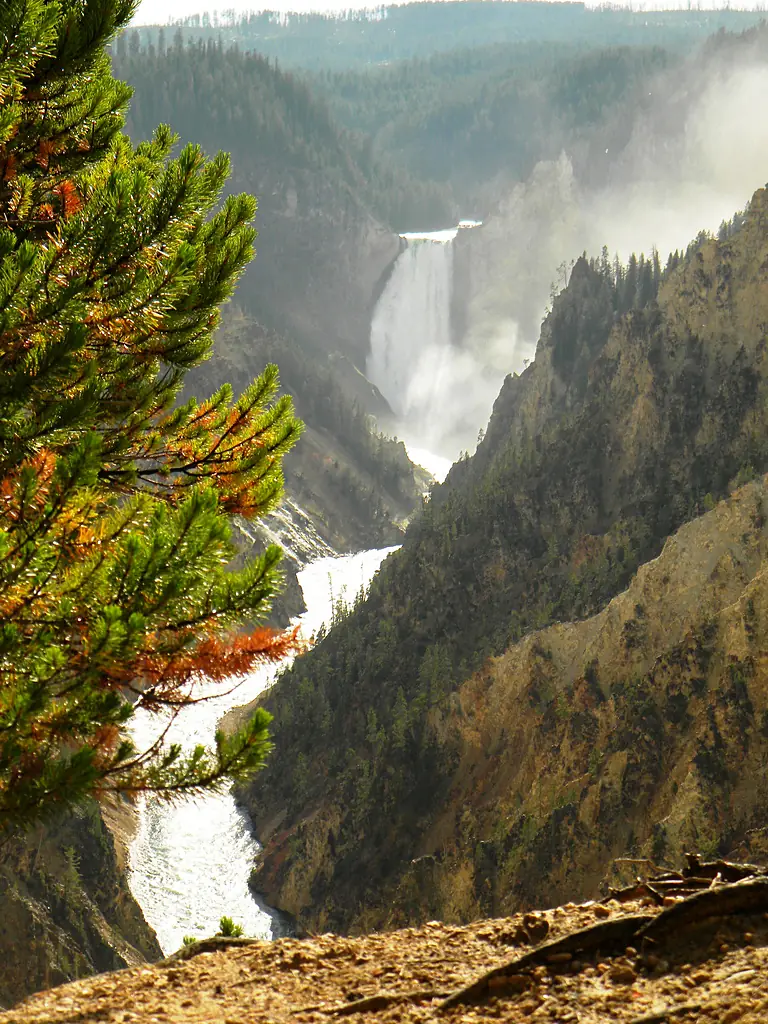 ViewFromArtistPointYNP