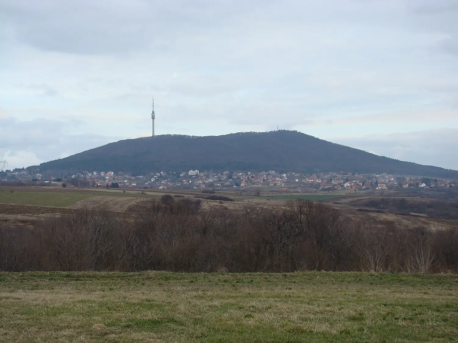 Avala2015