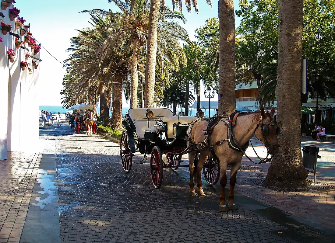 Balcon 3. Nerja - panoramio