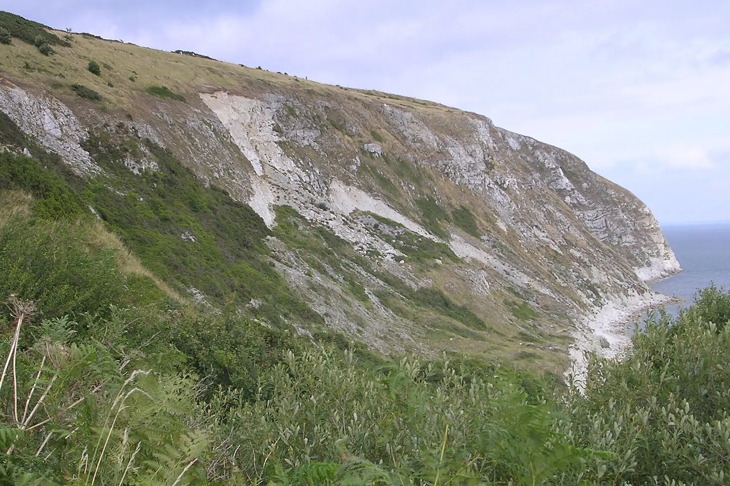 Ballard cliff