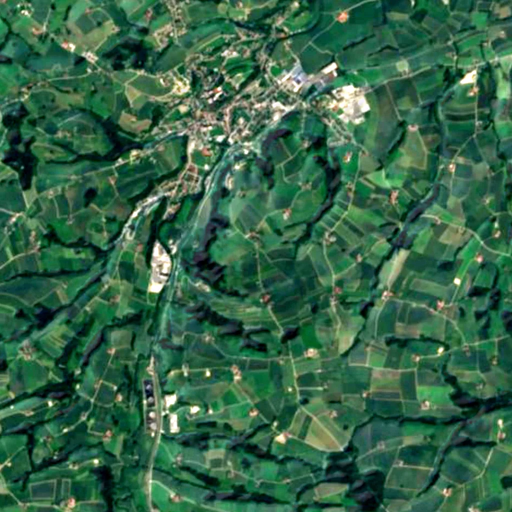 Baum mitten in der Welt seen from above (Sentinel-2)
