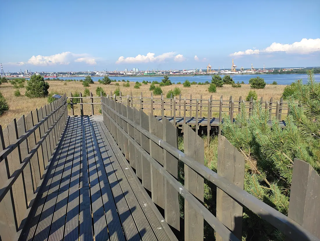 Meškos Galvos kopa, rozhledna, Neringa, Litva 02