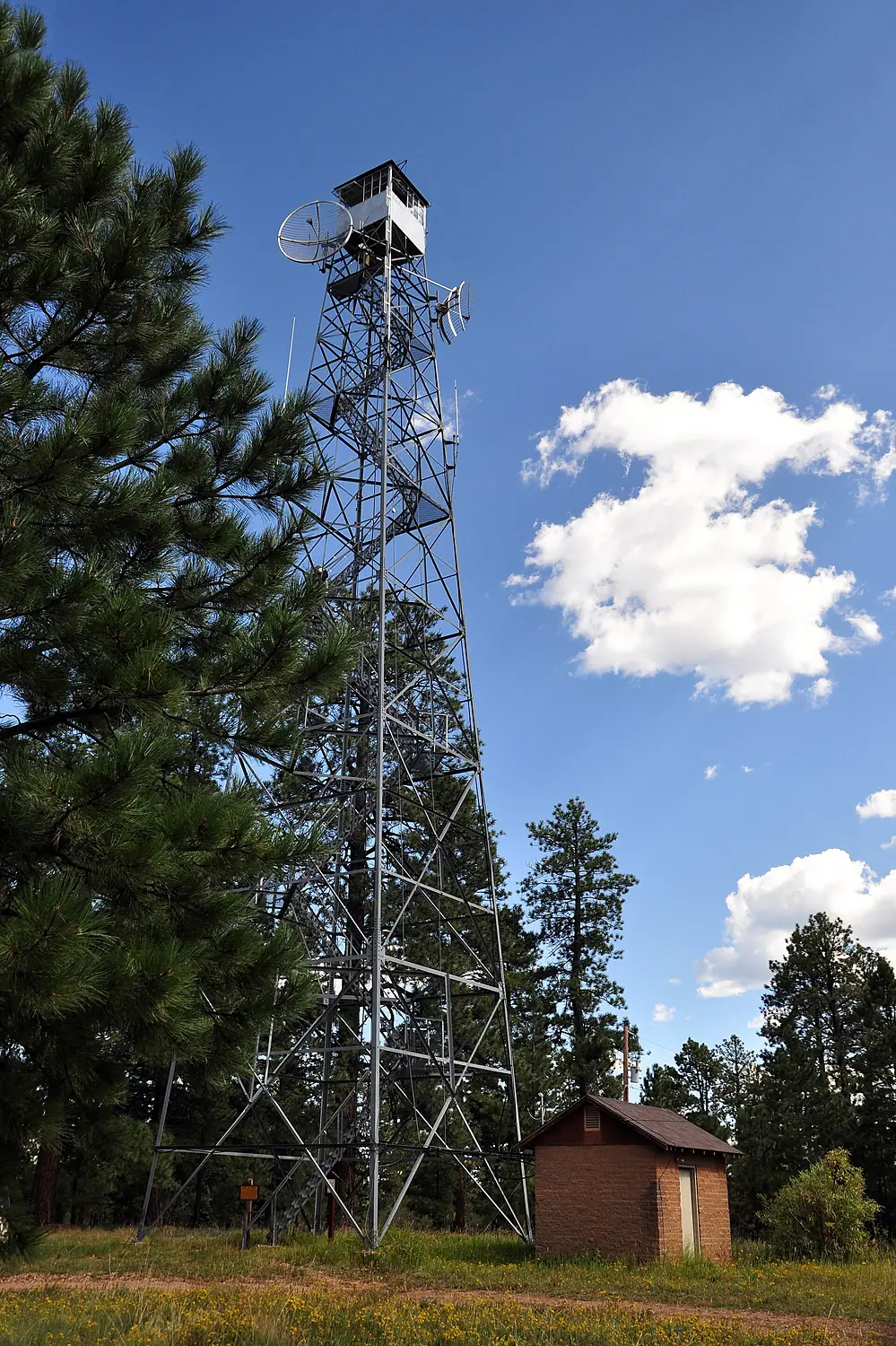 Big Springs Fire Lookout 2016 (48938416193)