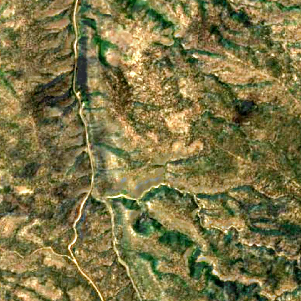 Big Springs Lookout Tower seen from above (Sentinel-2)