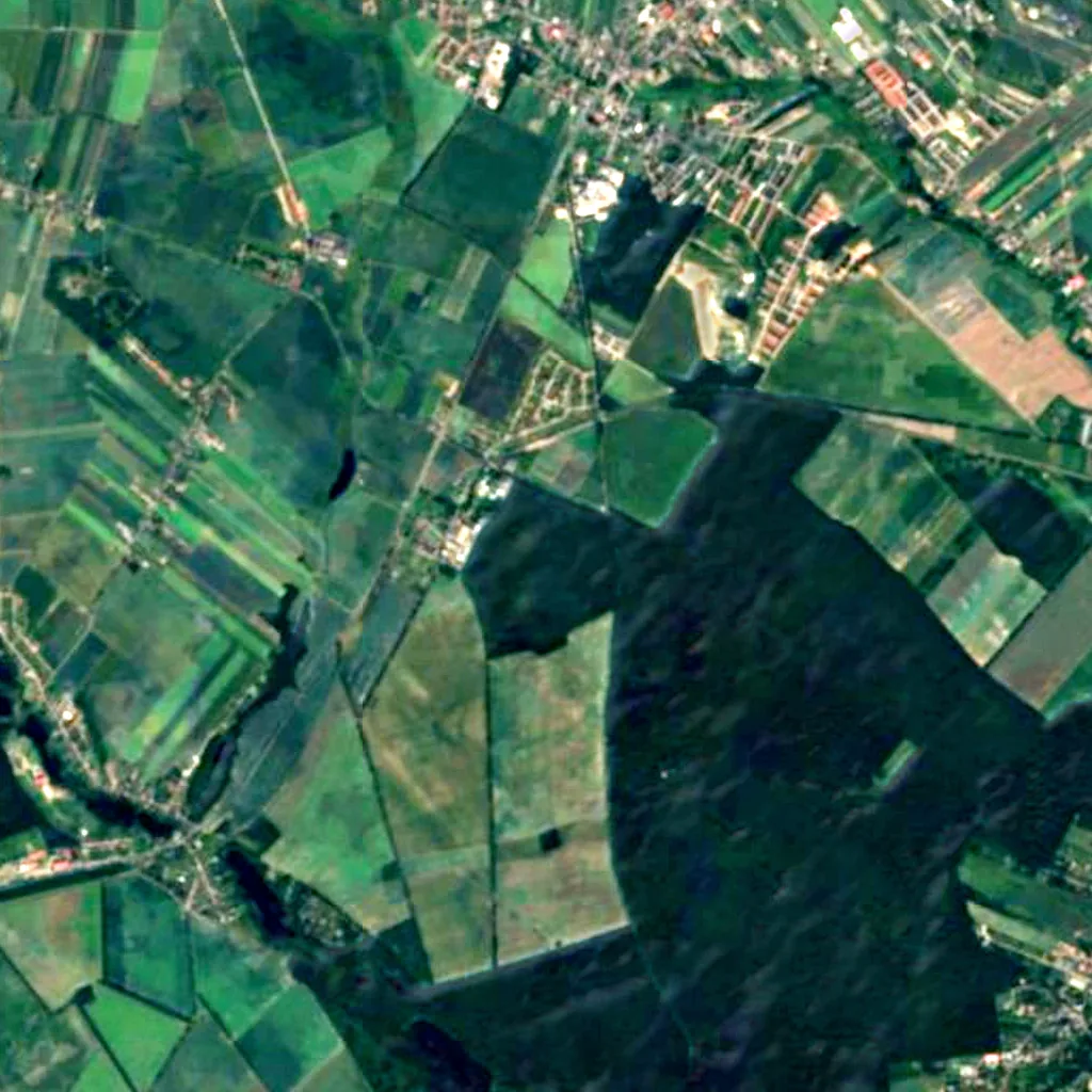 Birnbaum monument in Szreniawa seen from above (Sentinel-2)