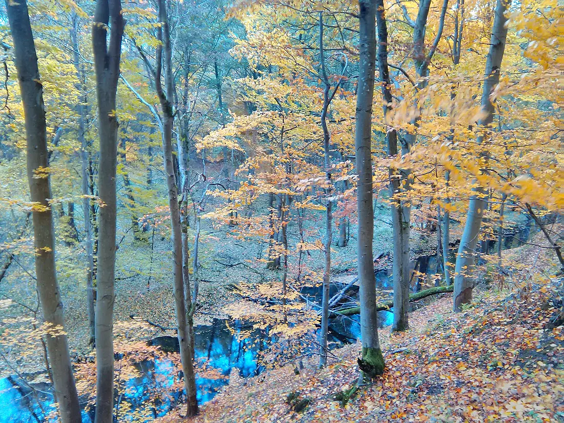 Gmina Okonek, Poland - panoramio (1)