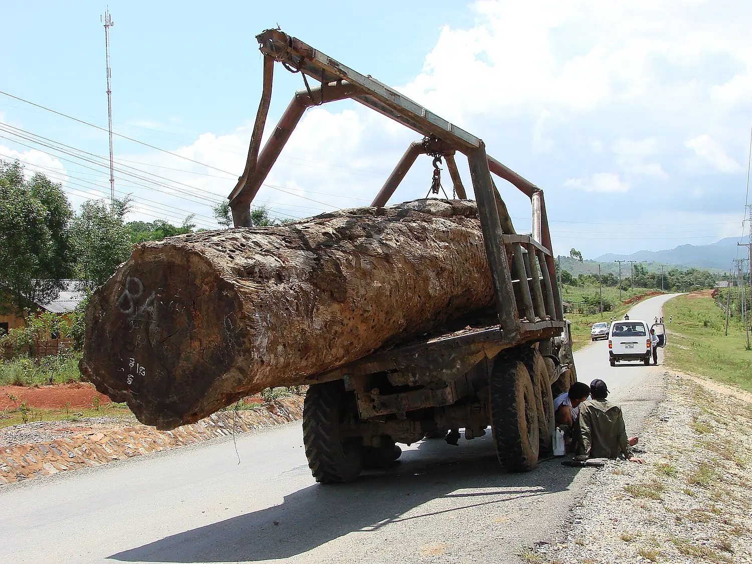 Laos - Bolaven Plateau - Logging