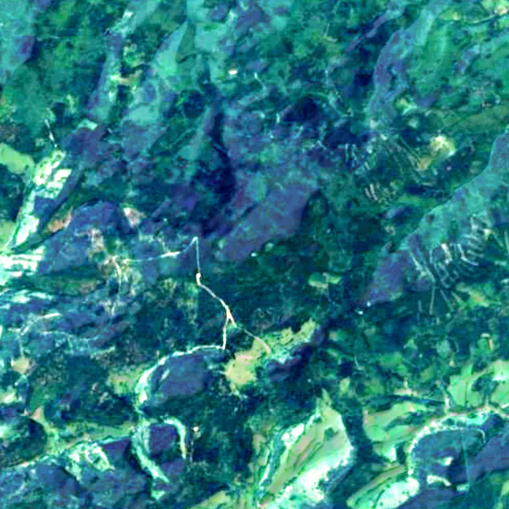 Borůvková hora observation tower seen from above (Sentinel-2)