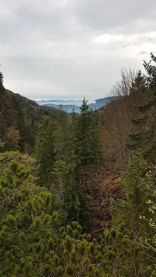 Nenzing-Buder Hoehe-View to the Walgau-01ESD