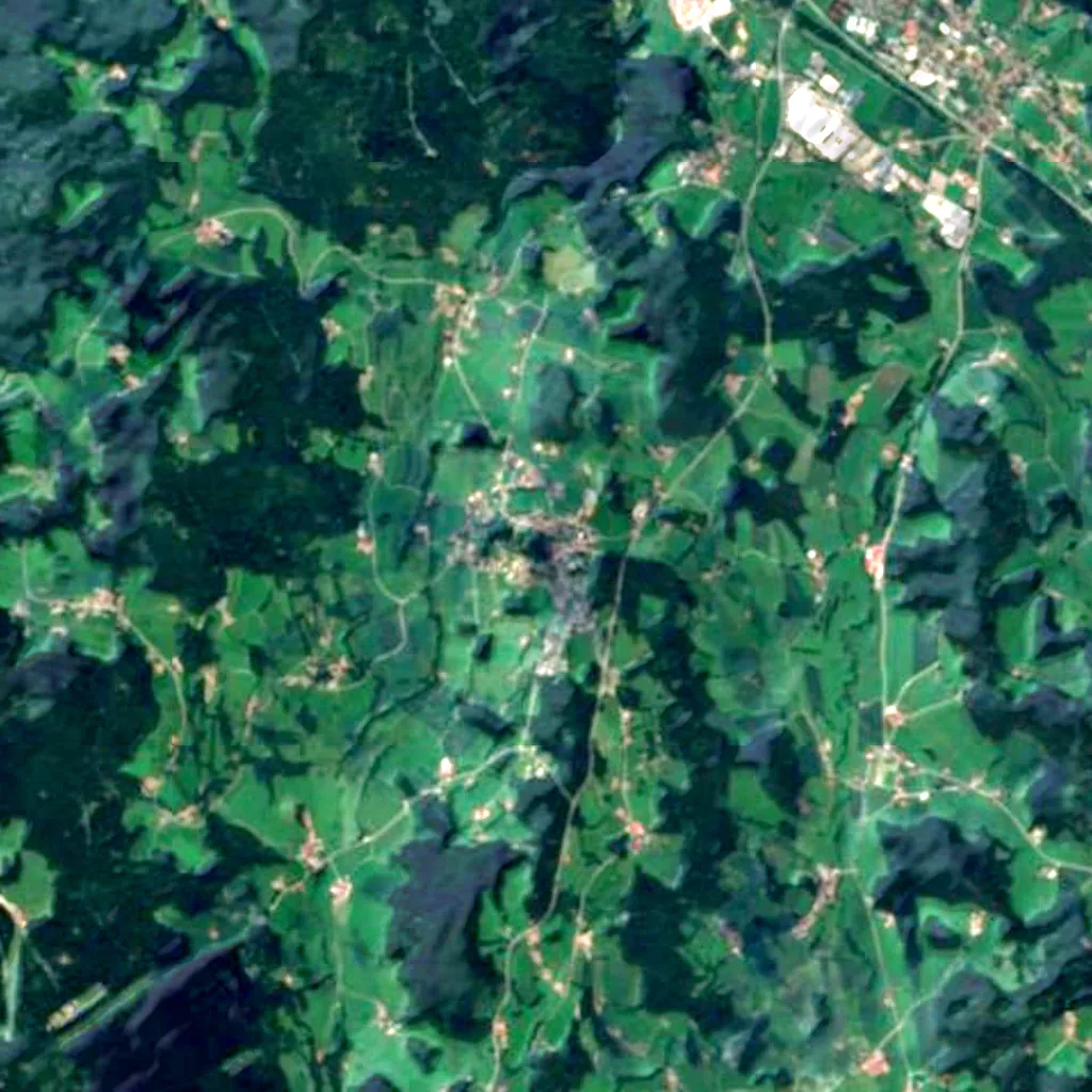 Burg Kollnburg visto desde arriba (Sentinel-2)