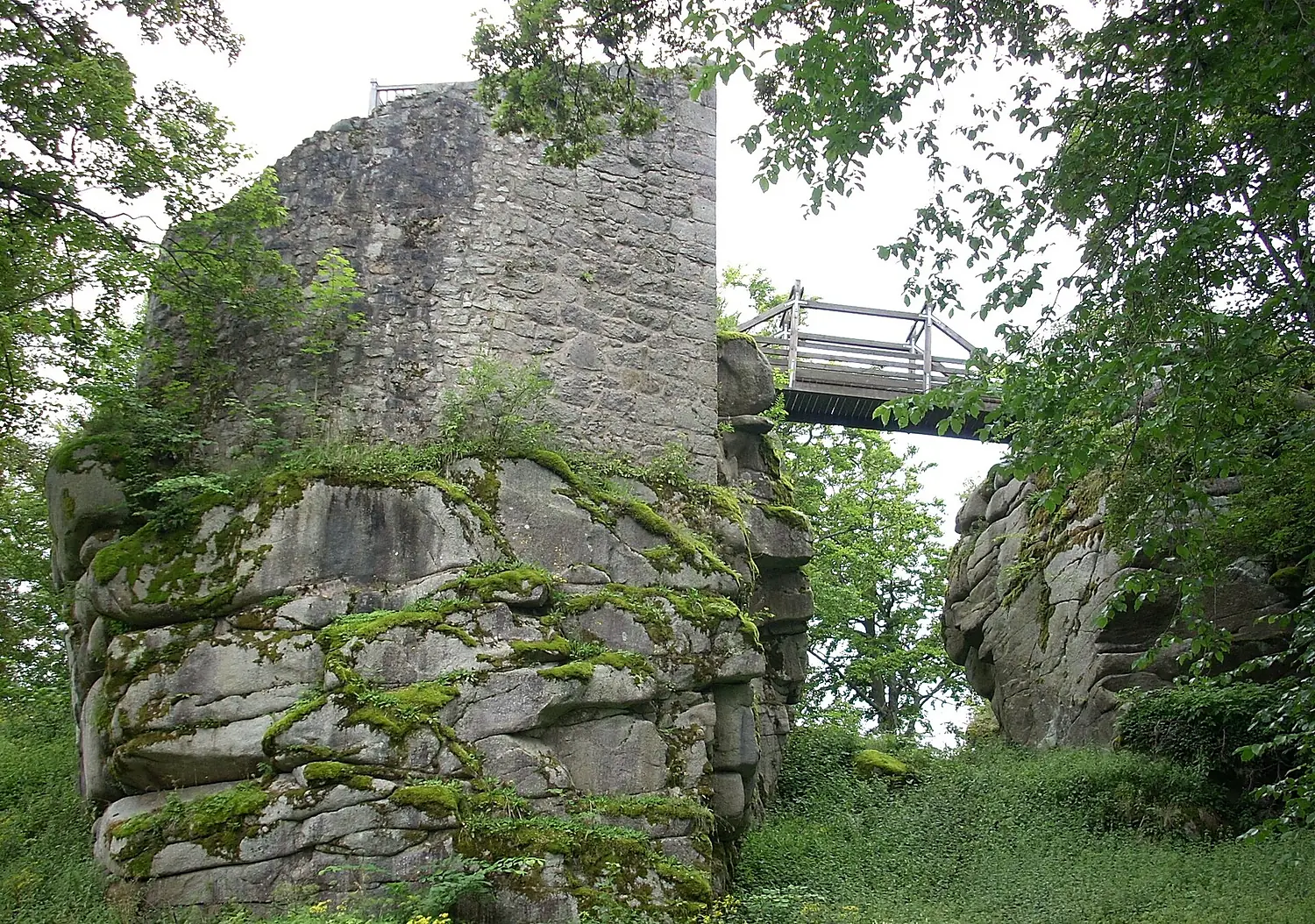 Castle Schellenberg