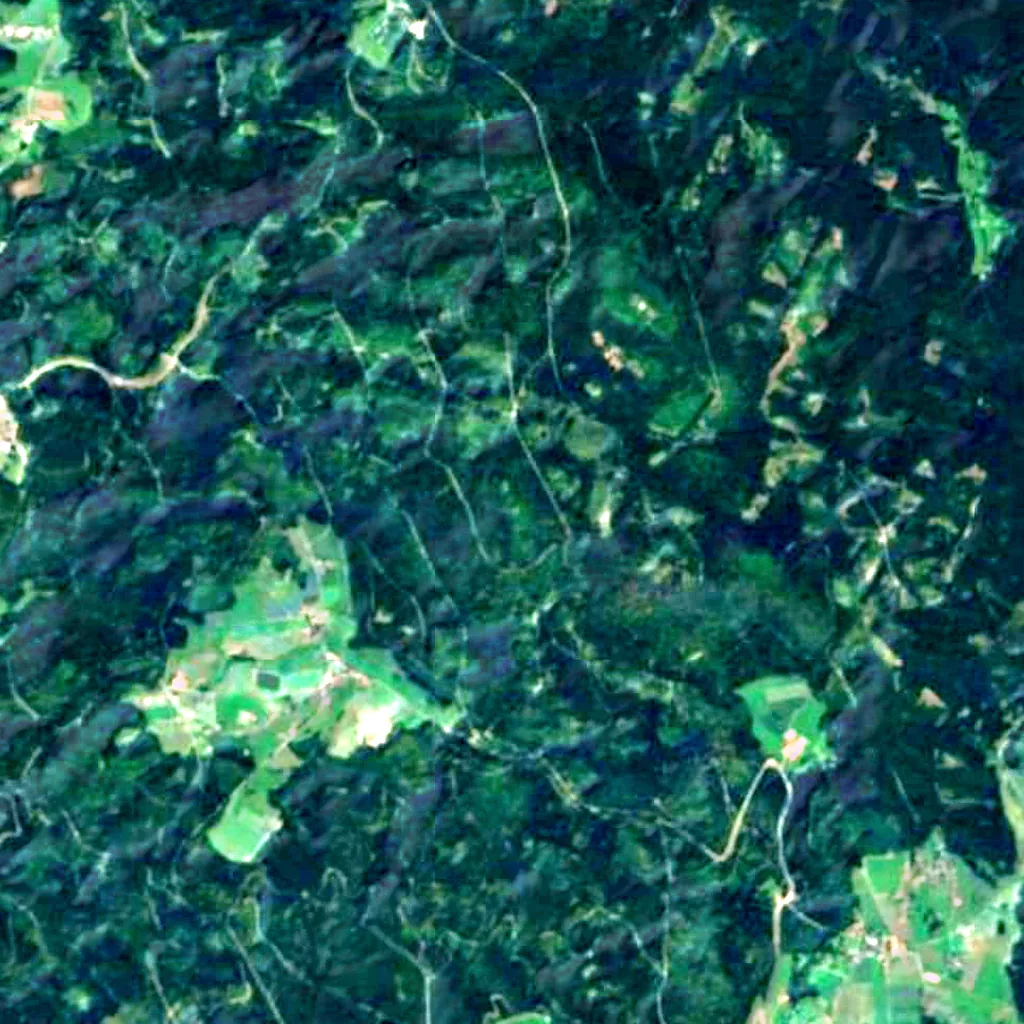 Burgruine Schellenberg seen from above (Sentinel-2)