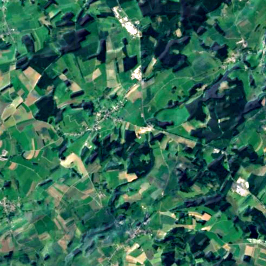 Buurgplaatz seen from above (Sentinel-2)
