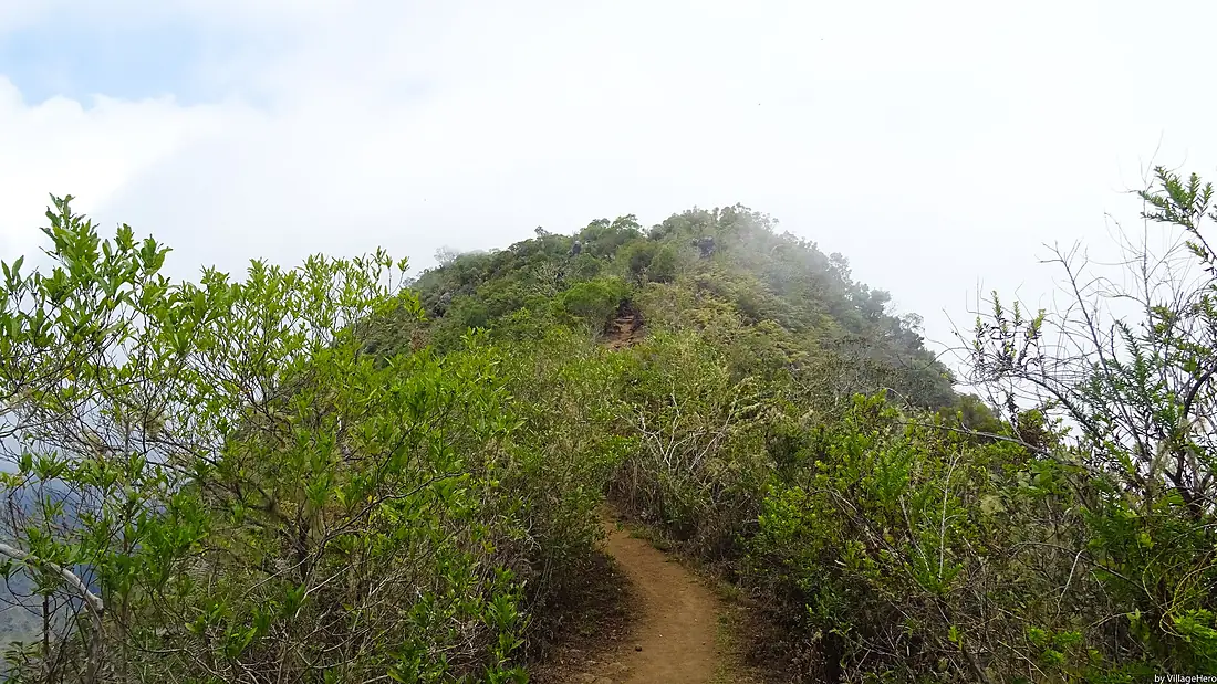 Trail above Clouds near Cap Noir (31556708725)