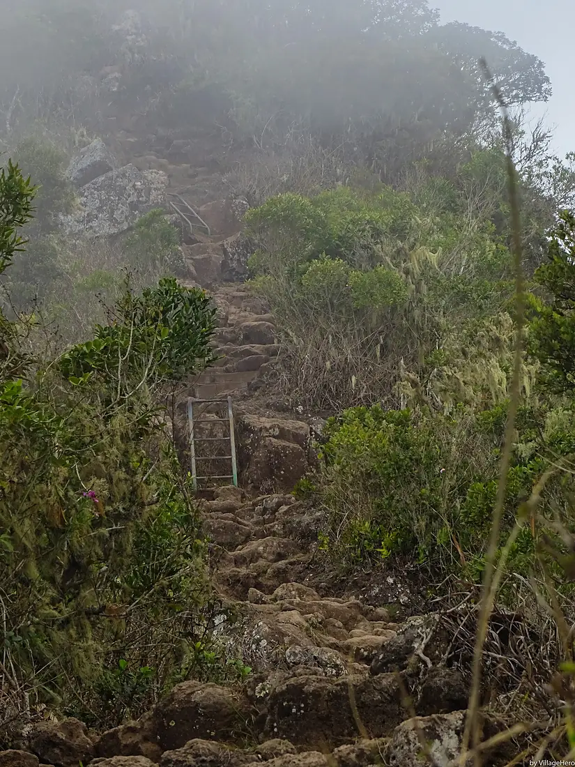 Trail near Cap Noir (30715480074)