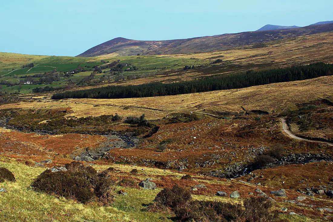 Forest and river Gaddagh