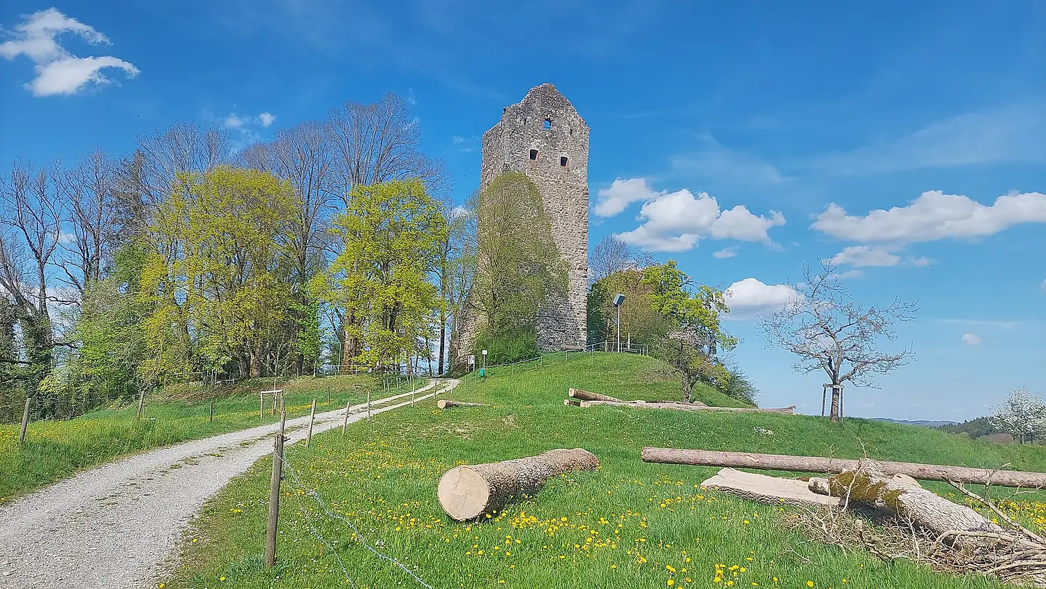 20260417 155409 HDR