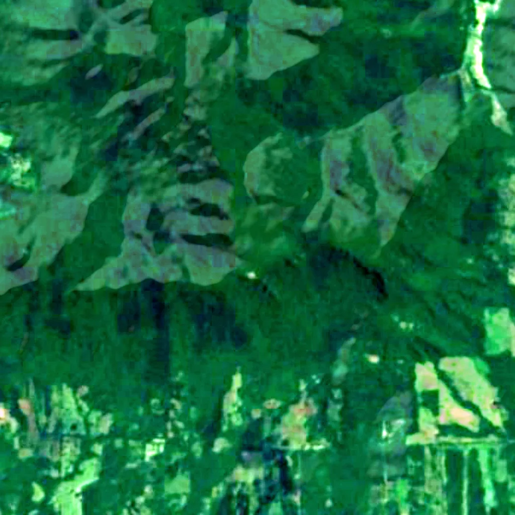 Cerro Tres Kandú seen from above (Sentinel-2)