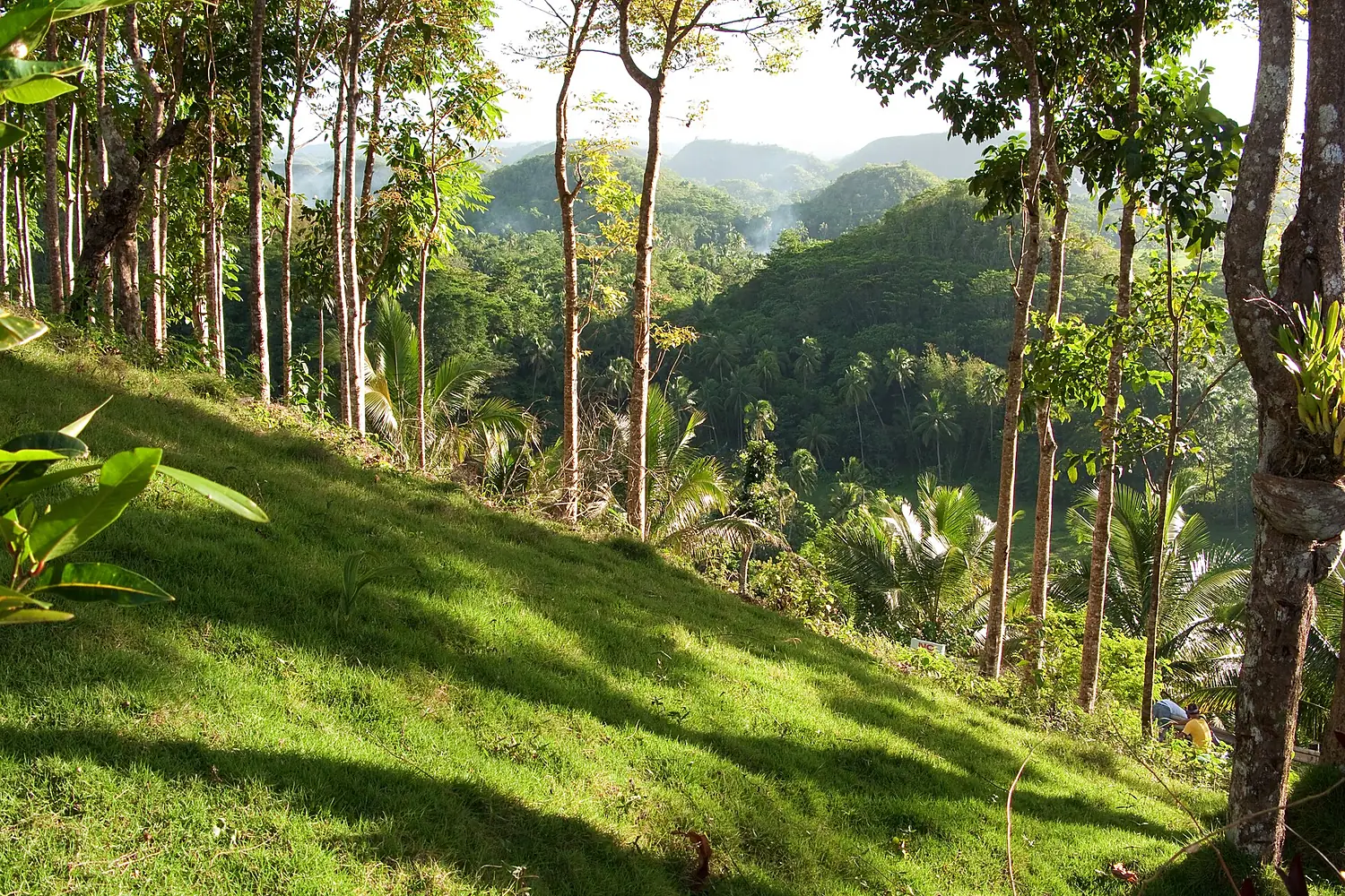 Bohol Hills 3, Carmen, Philippines