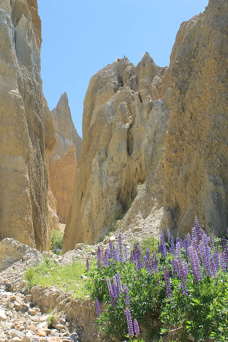Clay Cliffs (14240024440)