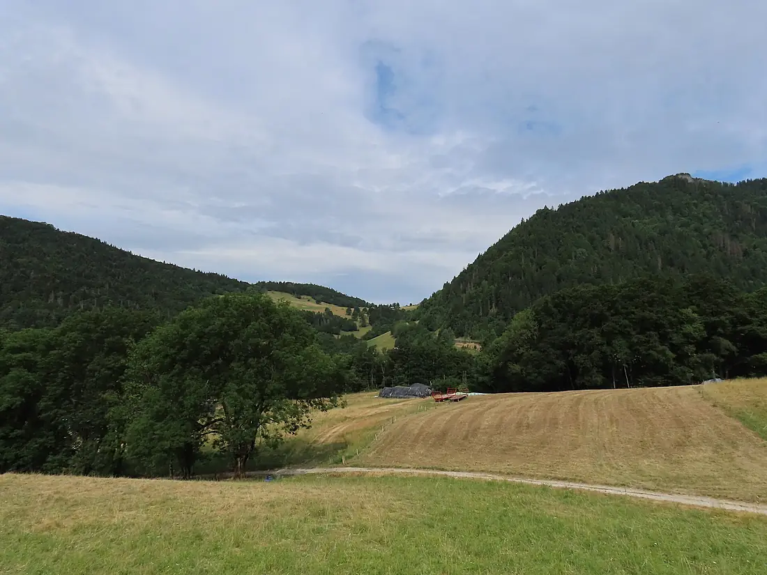 Col de la Forclaz @ Montmin