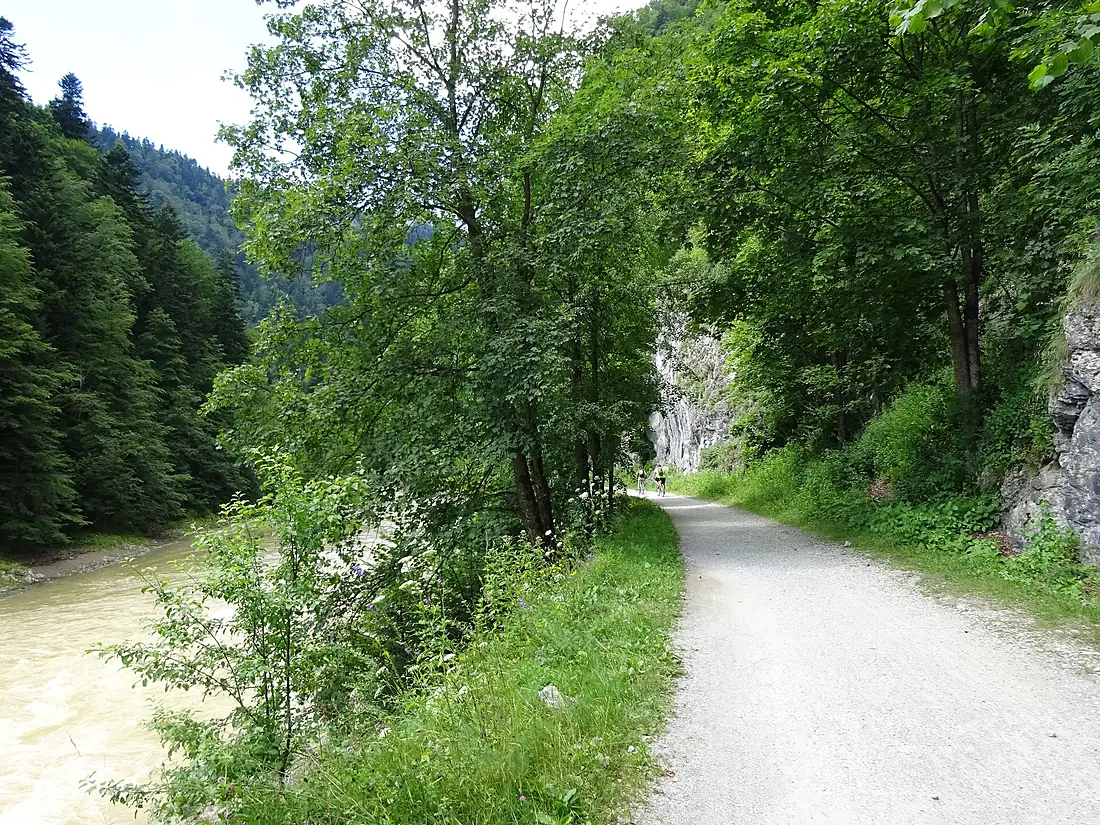DrogaPienińska-SkałkiIDunajec-SVK, Pieniny