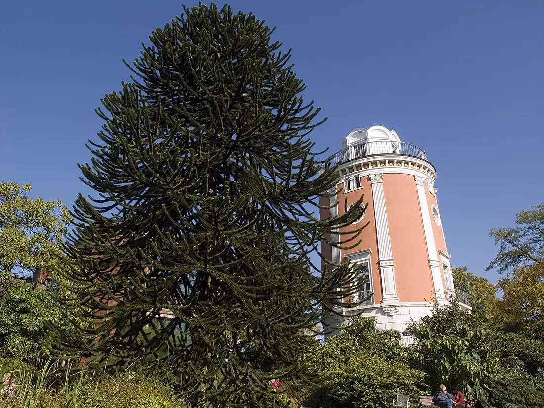 Hardtanlage, Elisenturm