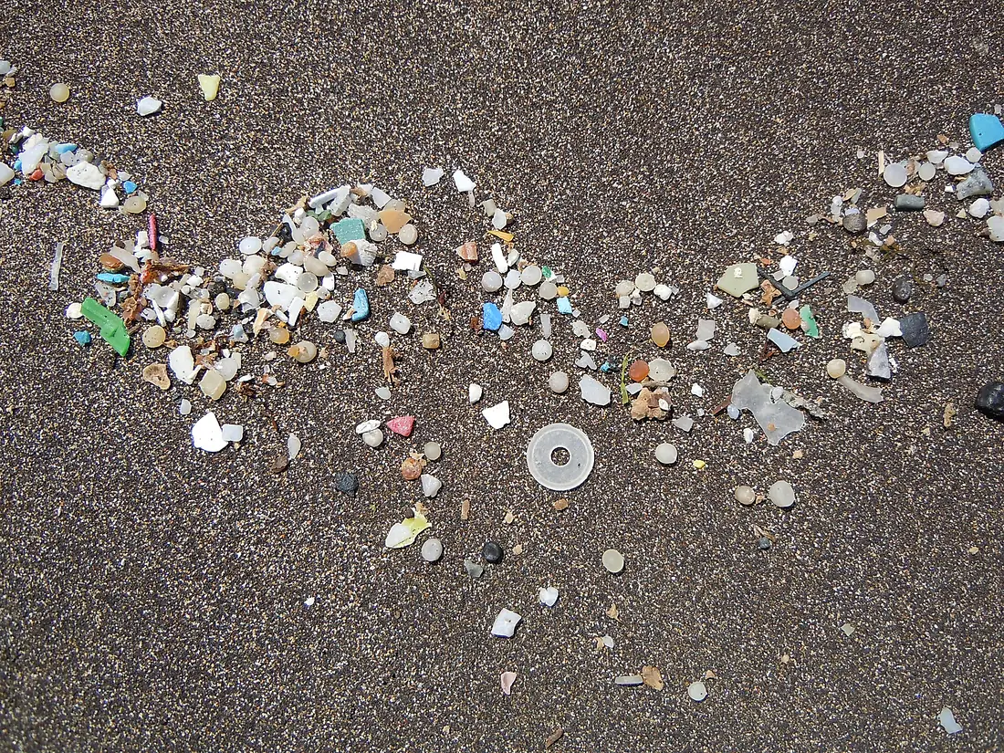 Débris plastiques page de Famara