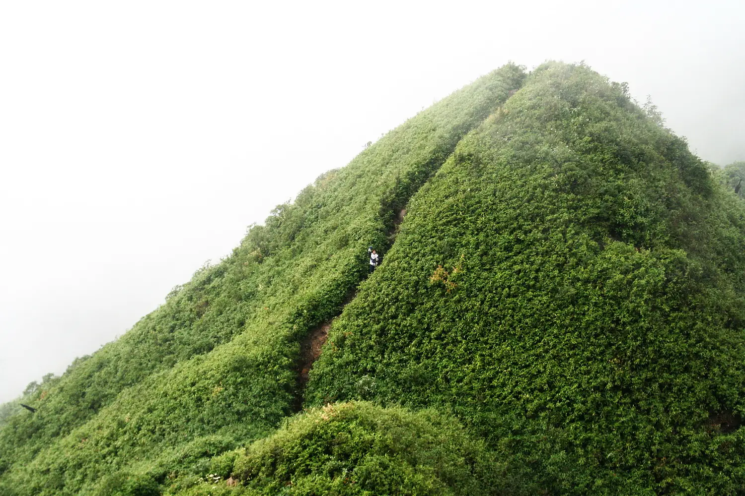 ChinhphucFansipan