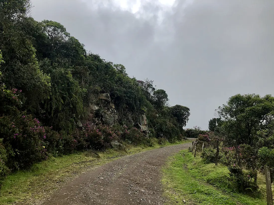 Volcán Galeras (1)