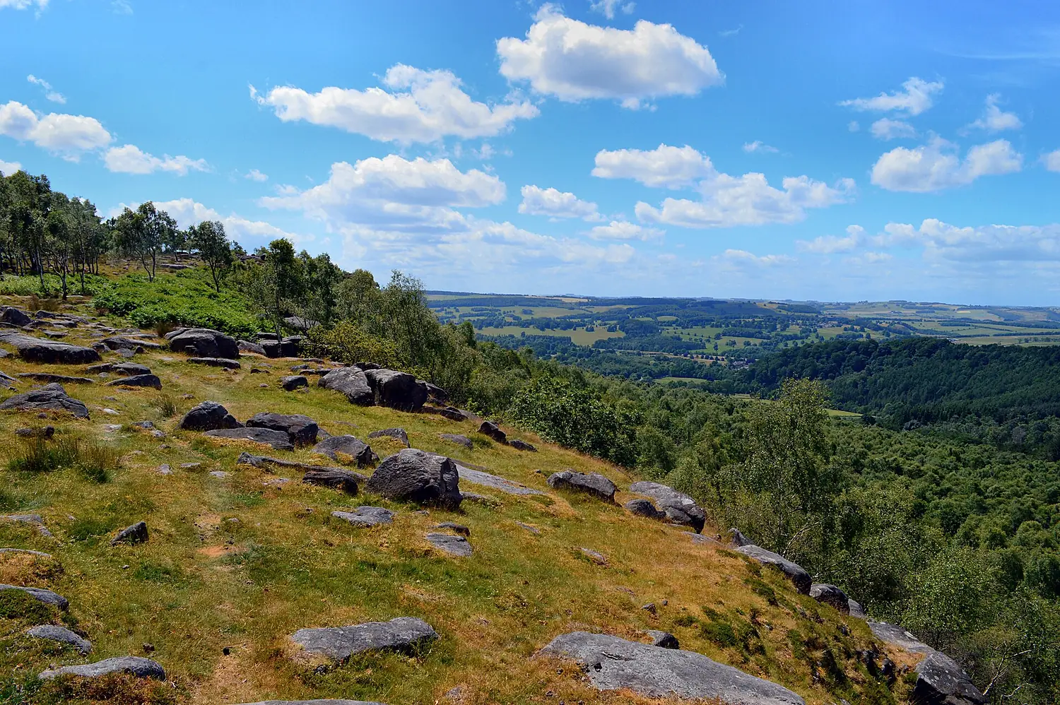 Gardom's Edge, view