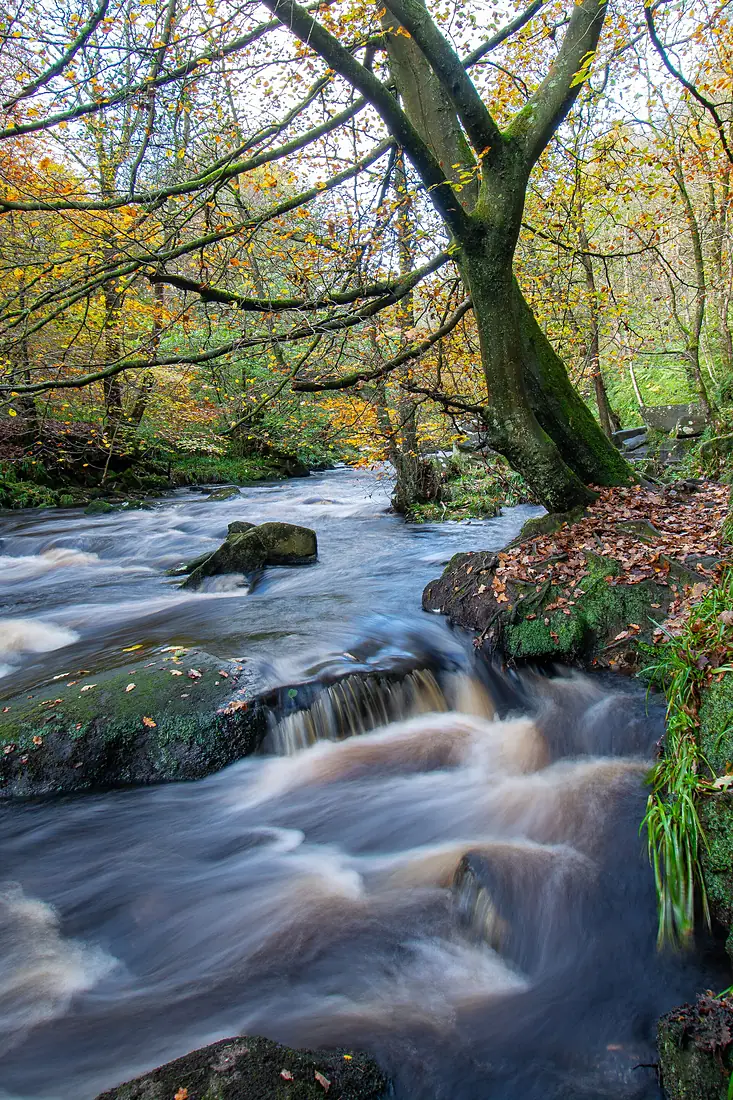 Hardcastle Crags (48976893656)