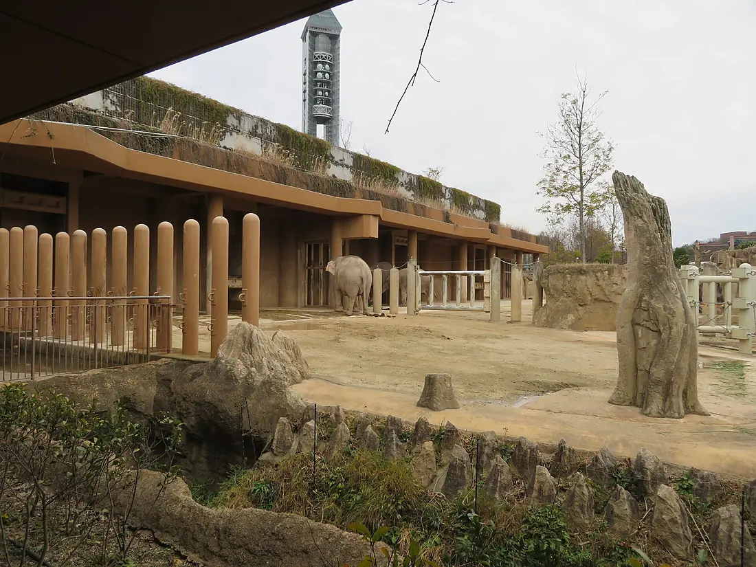 Asian elephant house in Higashiyama zoo - 3
