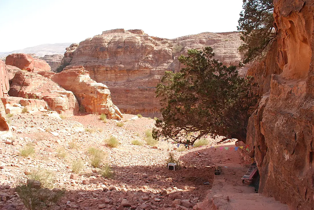 20100926 petra057
