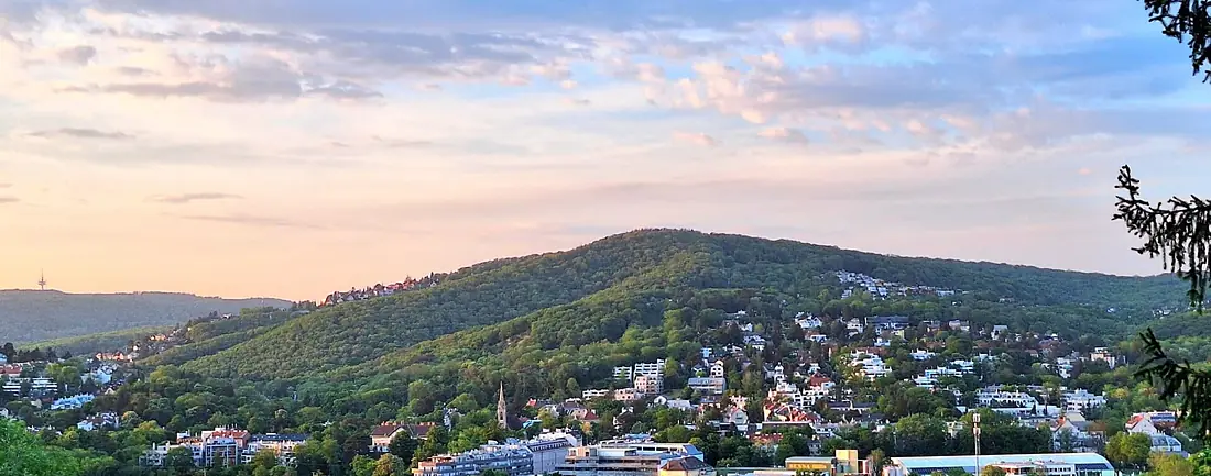 Der Satzberg in Wien Hütteldorf, Blick vom südlich gelegenen Himmelhof, Mai 2024