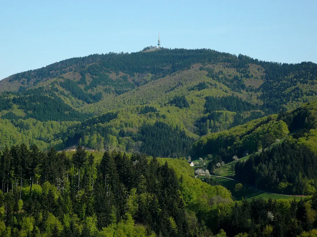 Hochblauen1