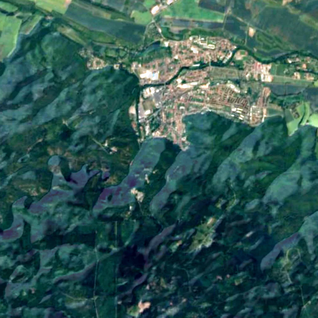Homburg Watchtower seen from above (Sentinel-2)