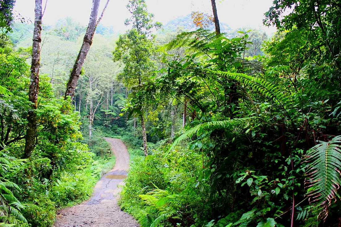 DSC00350 Java East Ijen Tableland Trail to Volcano Kawah Ijen (6229501397)