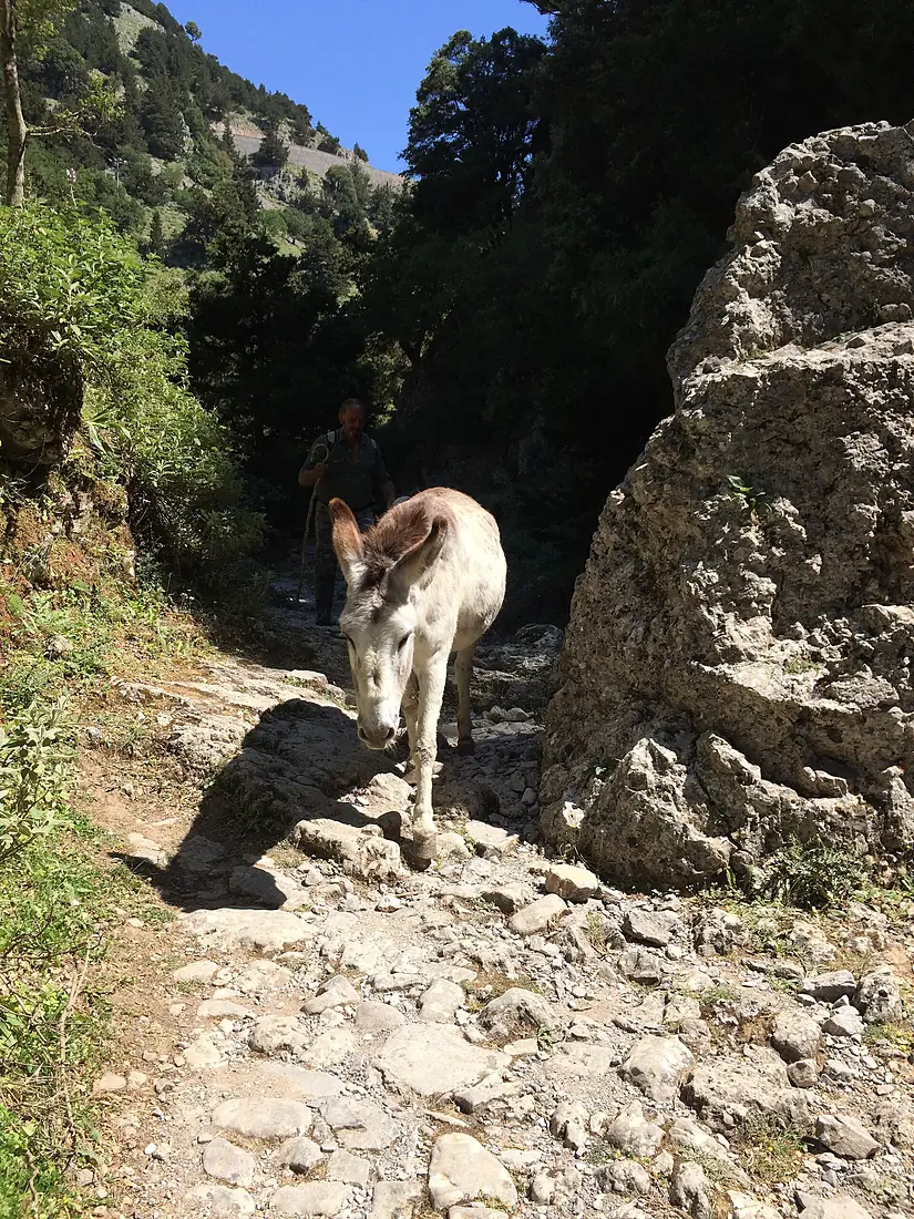 Imbros Gorge June 2 2015 1