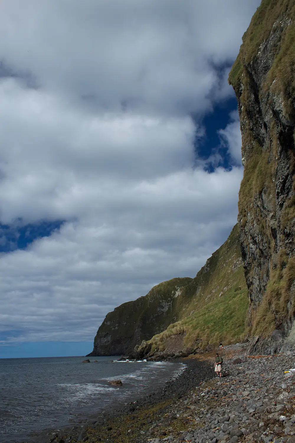 Inaccessible Island - cliffs (1)