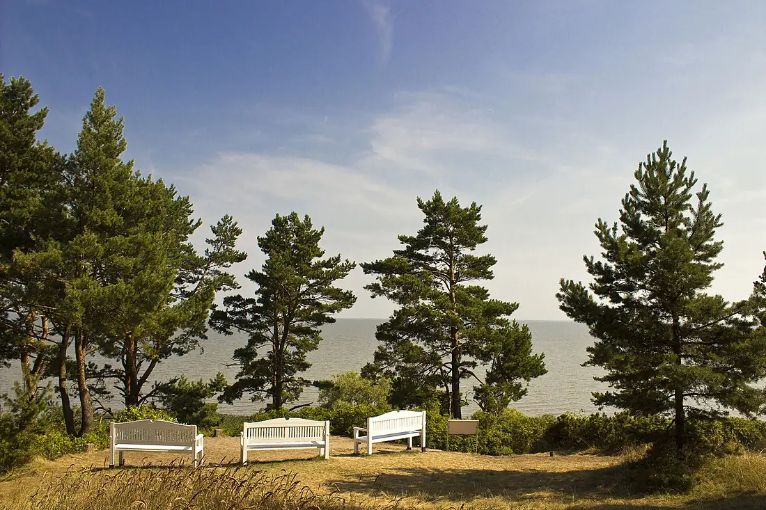 Nida - panoramio (11)