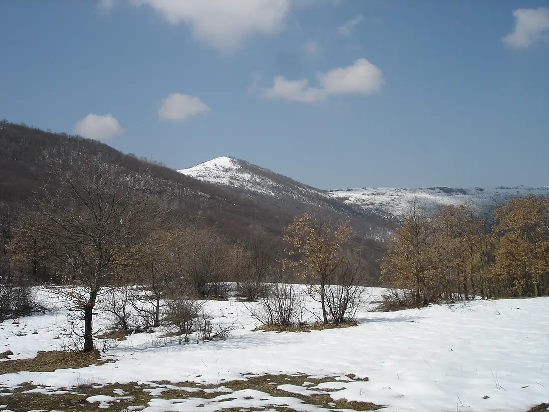 Dautica-MK