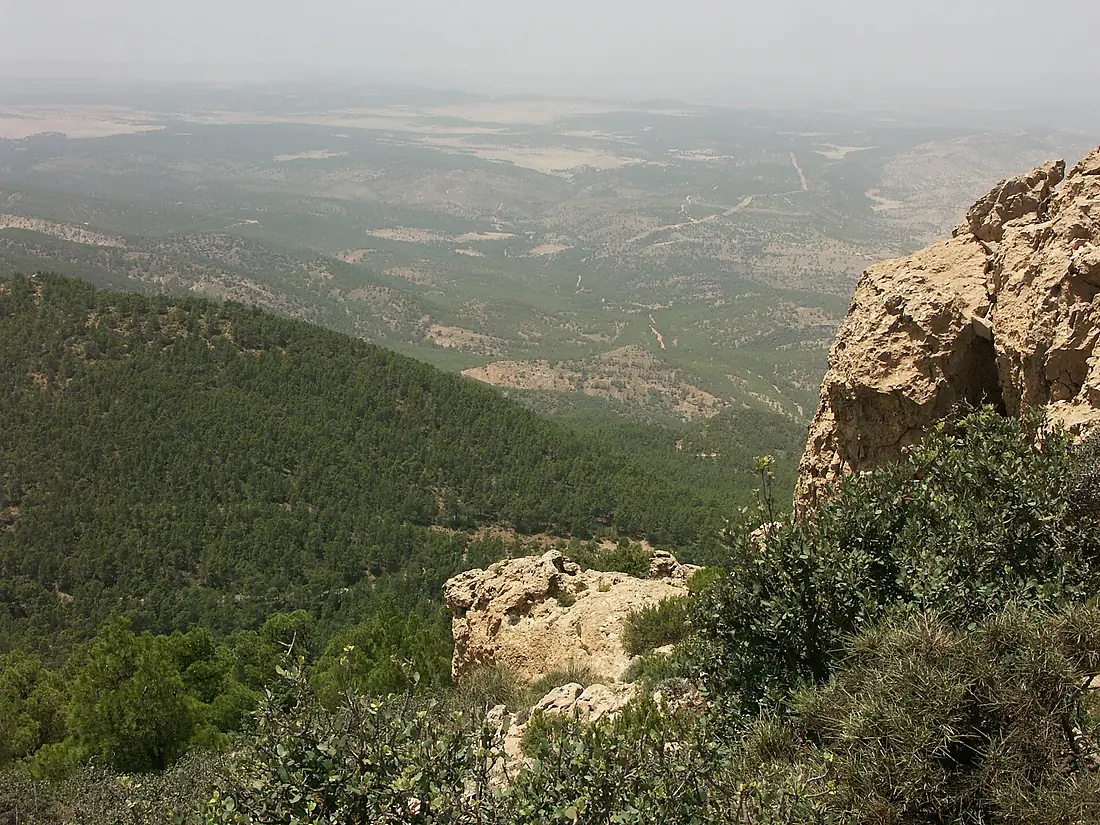 Algérie vue Djebel Chambi