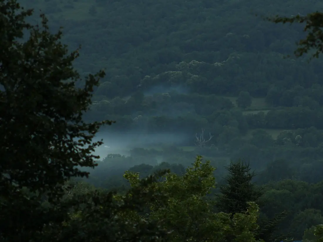 Mushishi (3663525578)