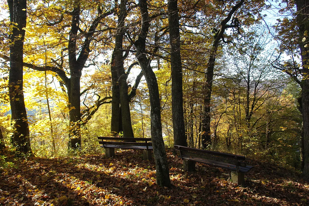 Kalleehöhe Steigweg Herbst