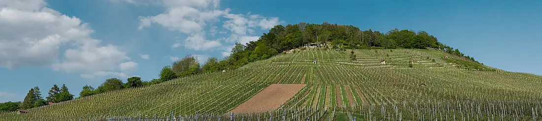 Kleinheppacher Kopf