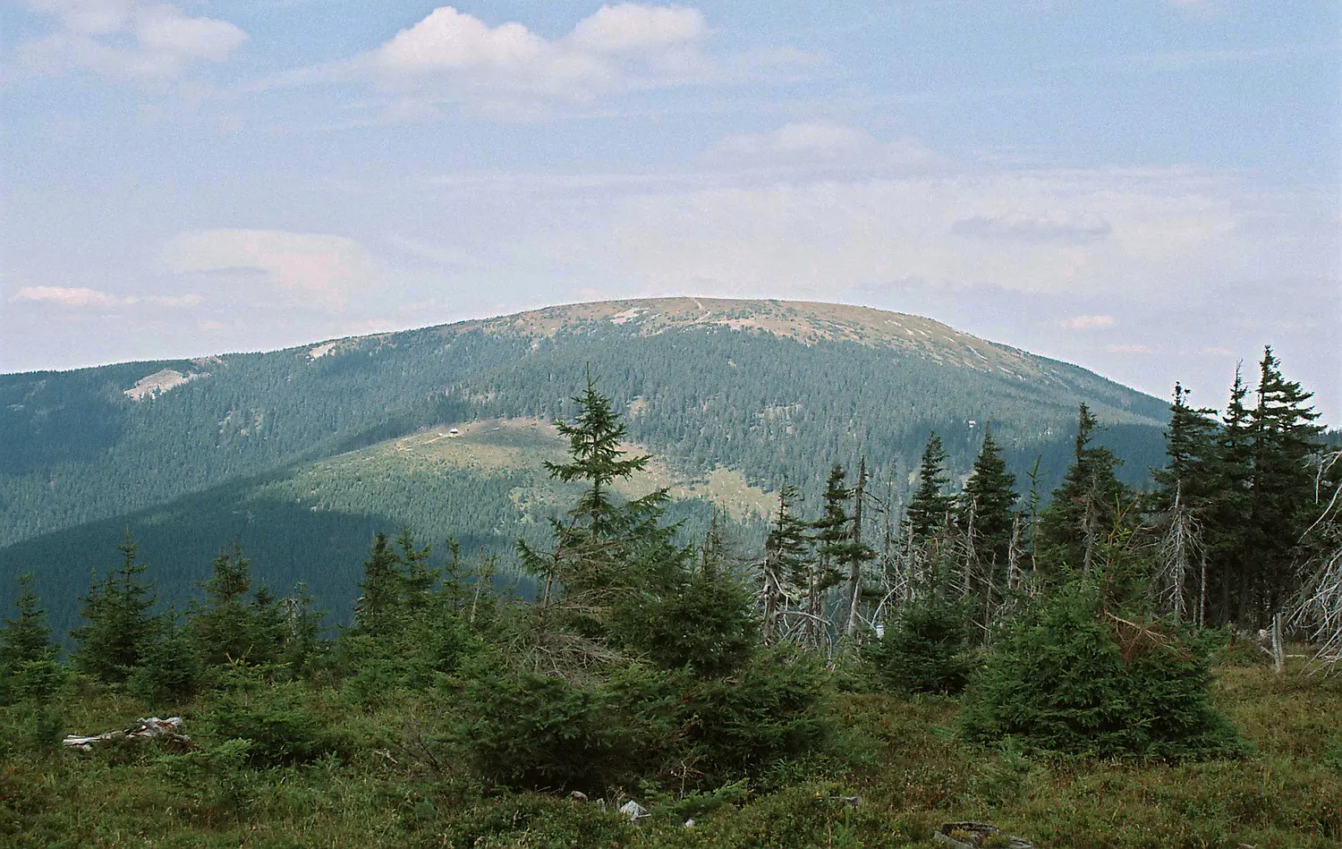 Snieznik Klodzki mountain (southern side)