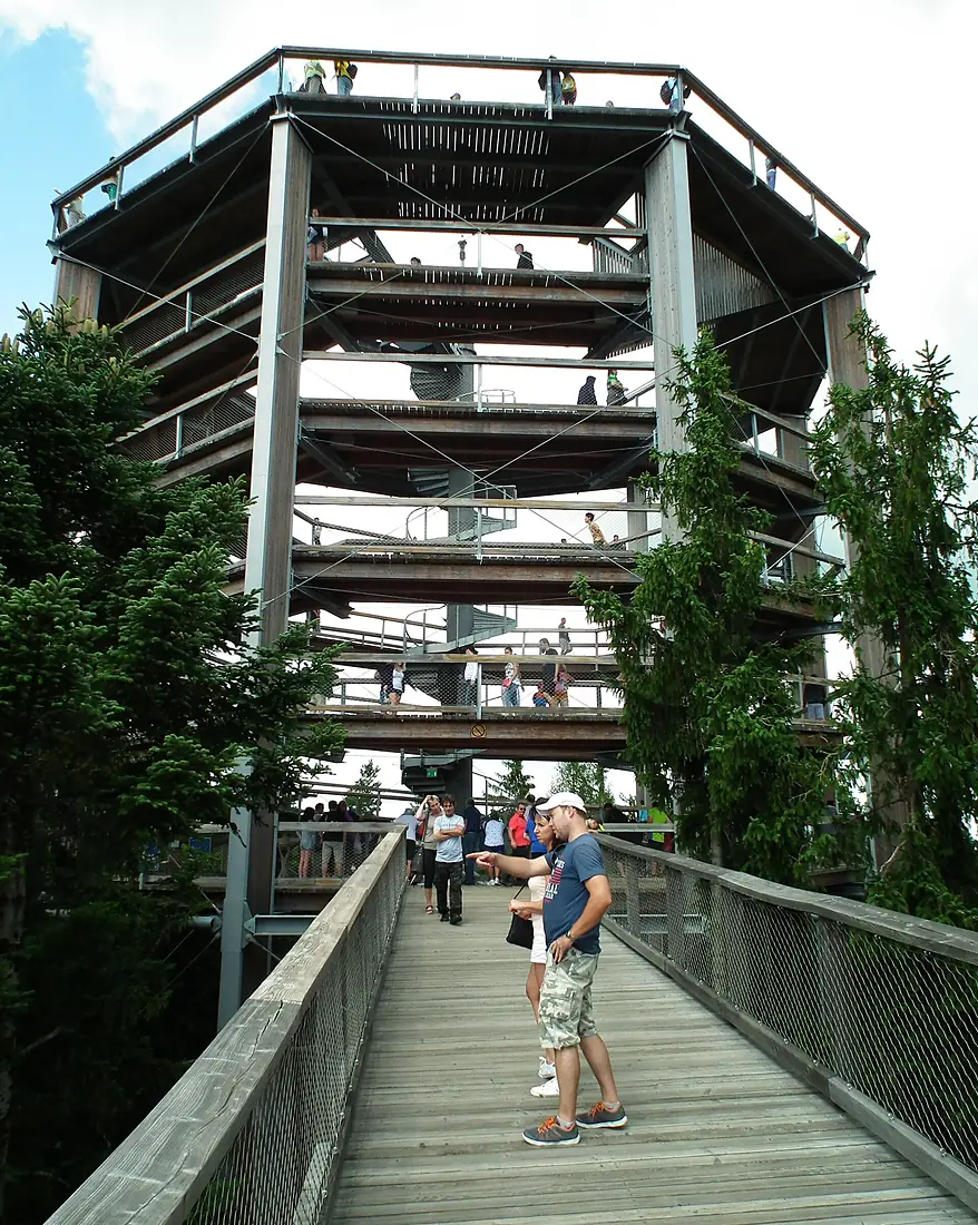 Stezka Korunami Stromu, Lipno nV (11)