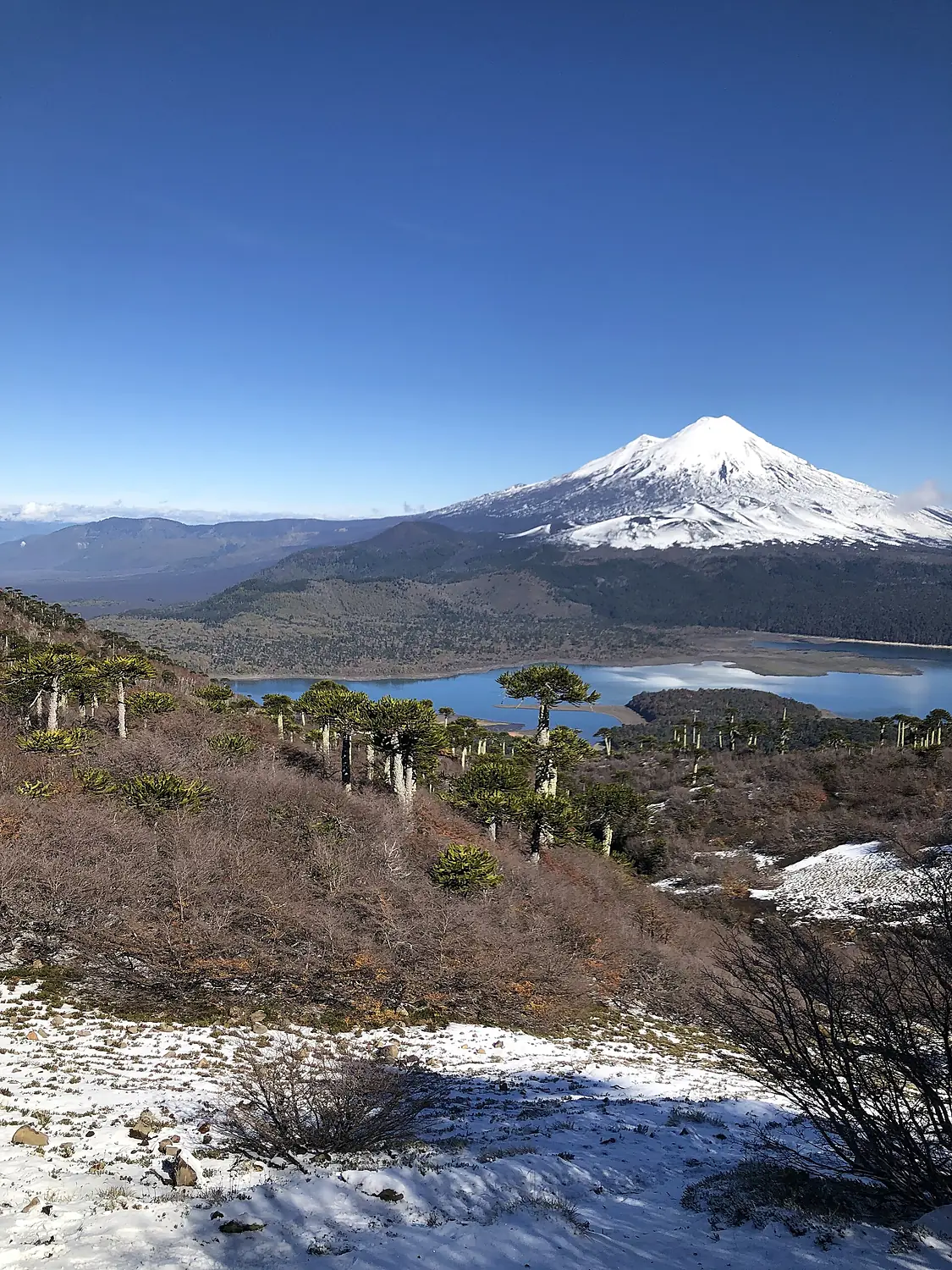 Llaima Volcano 26-04-2026